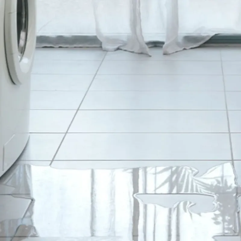 Appliance Leak Cleanup in Nashua, IA