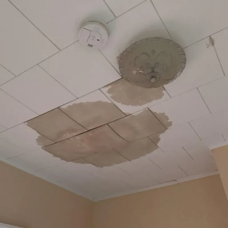Ceiling Water Damage Repair in Nashua, IA
