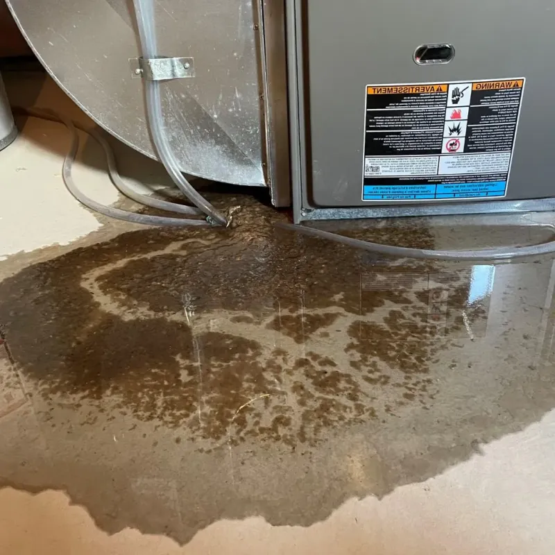 Pipe Burst and Leak Restoration in Nashua, IA