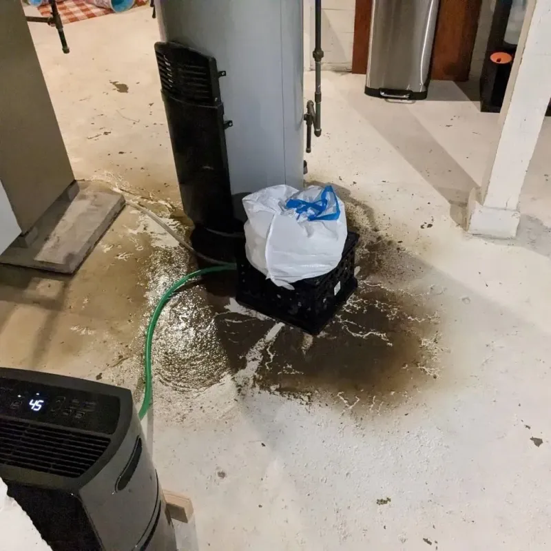 Sewage Backup Cleanup Service in Nashua, IA